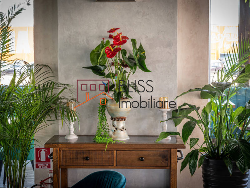 spațiu de birouri de Vanzare Tabara Navodari - ID:108297 | Bliss Imobiliare / Photo 23 - BLISS Imobiliare