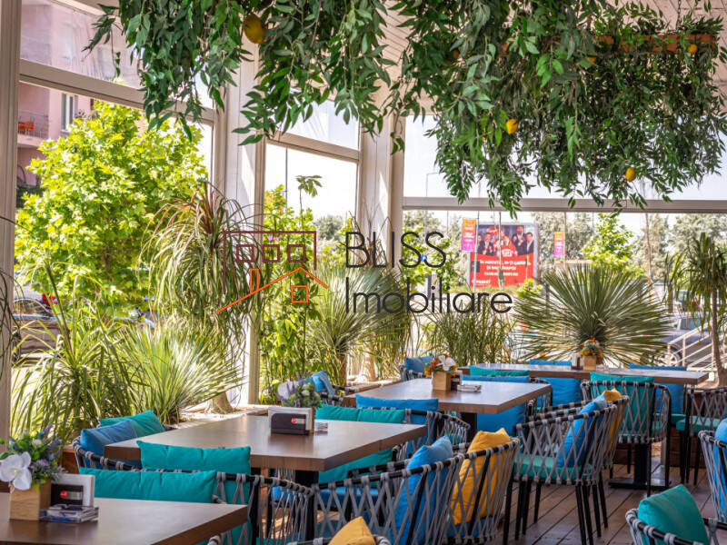 Office space for Sale Tabara Navodari, Constanta, Judetul Constanta, Romania - ID:108297 | Bliss Imobiliare / Photo 28 - BLISS Imobiliare