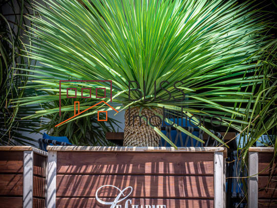 spațiu de birouri de Vanzare Tabara Navodari - ID:108297 | Bliss Imobiliare / Photo 2 - BLISS Imobiliare