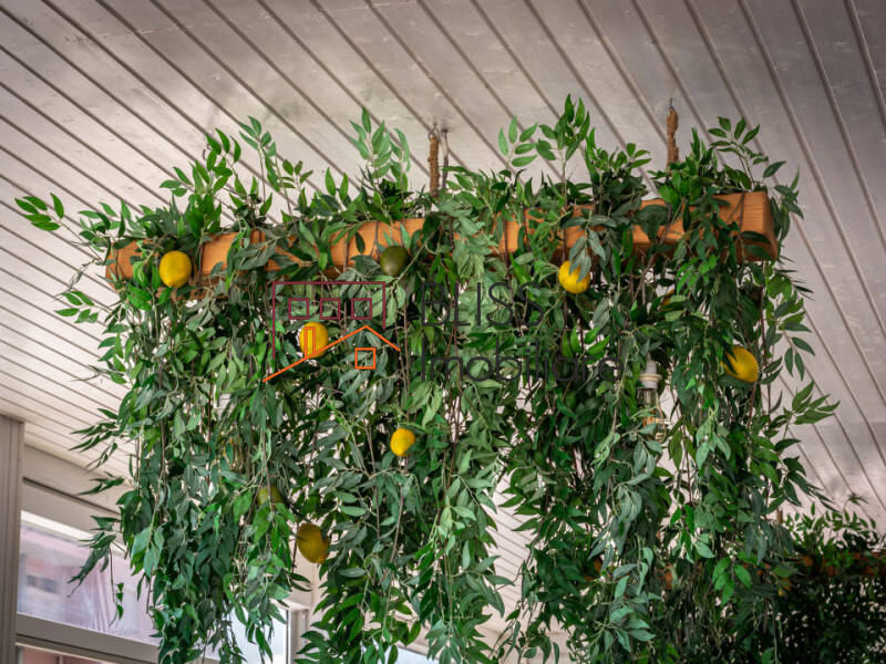 spațiu de birouri de Vanzare Tabara Navodari - ID:108297 | Bliss Imobiliare / Photo 31 - BLISS Imobiliare