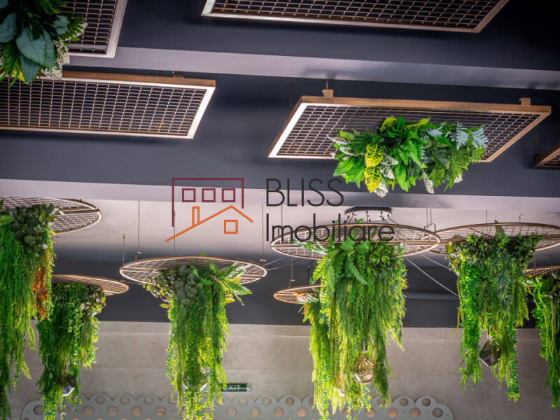 spațiu de birouri de Vanzare Tabara Navodari - ID:108297 | Bliss Imobiliare / Photo 35 - BLISS Imobiliare