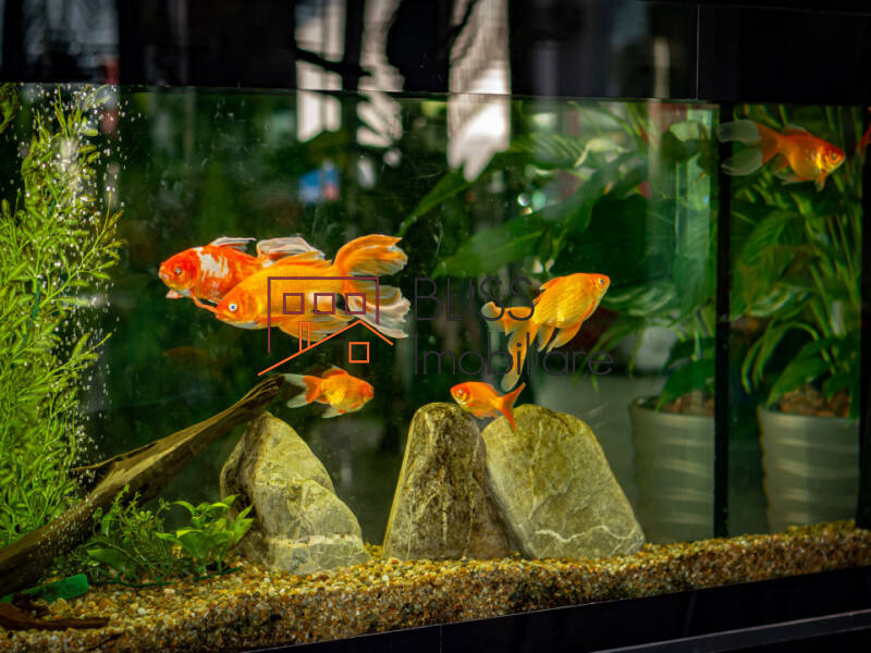 Office space for Sale Tabara Navodari, Constanta, Judetul Constanta, Romania - ID:108297 | Bliss Imobiliare / Photo 36 - BLISS Imobiliare